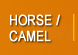 HorseCamel